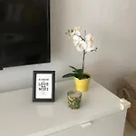 Designer's Flat - 3 Bdrm - Wifi - Location Apartman