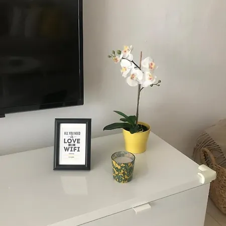 Designer's Flat - 3 Bdrm - Wifi - Location Apartamento